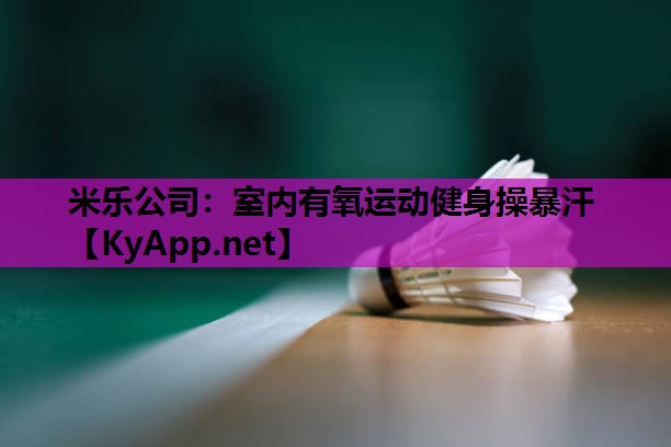 米乐公司:室内有氧运动健身操暴汗
