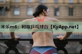 米乐m6:和政乒乓球台
