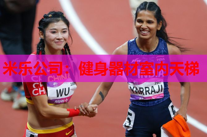 米乐公司:健身器材室内天梯