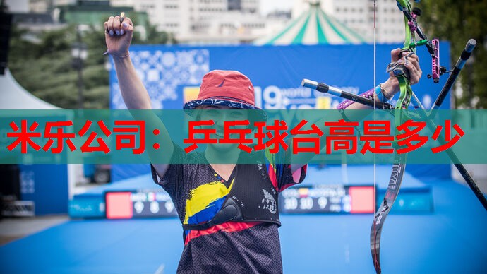 米乐公司:乒乓球台高是多少