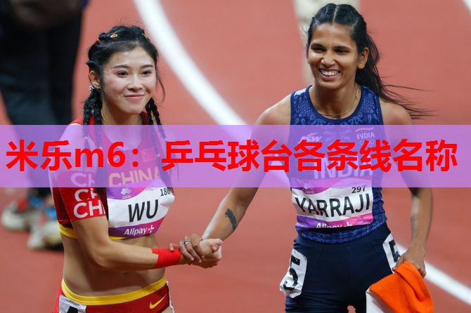 米乐m6:乒乓球台各条线名称