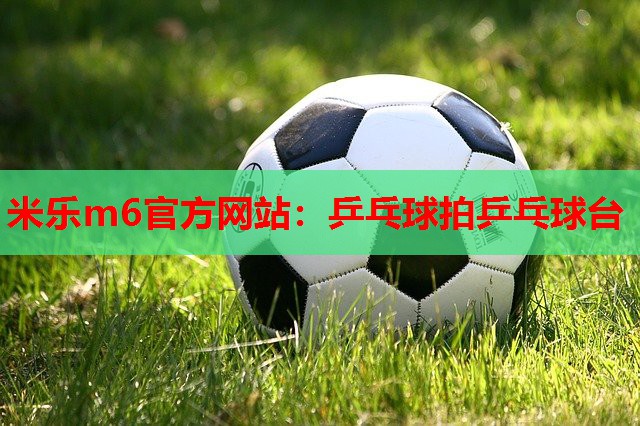 米乐m6官方网站:乒乓球拍乒乓球台