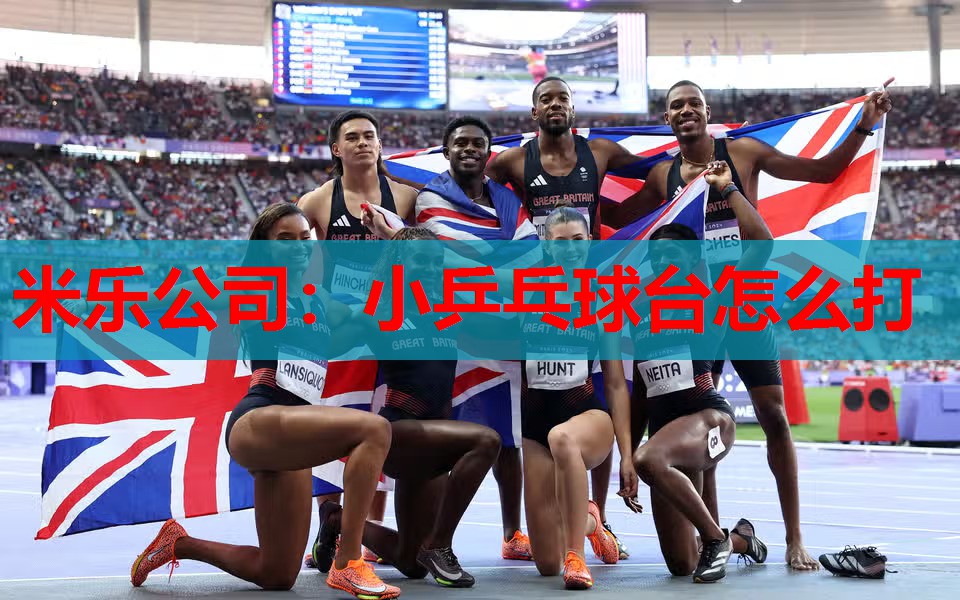 米乐公司:小乒乓球台怎么打