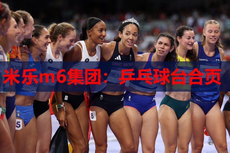 米乐m6集团:乒乓球台合页