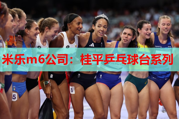 米乐m6公司:桂平乒乓球台系列
