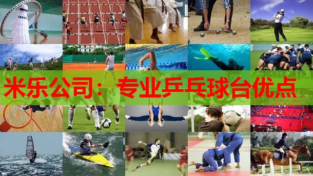 米乐公司:专业乒乓球台优点