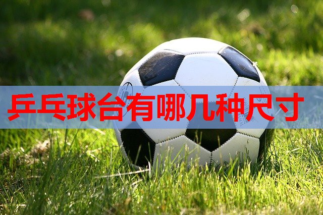乒乓球台有哪几种尺寸