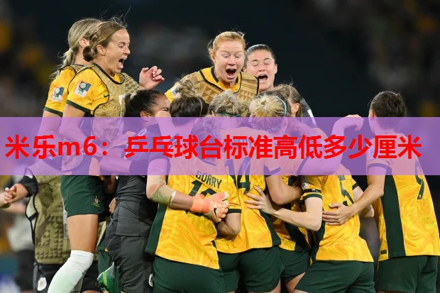 米乐m6:乒乓球台标准高低多少厘米