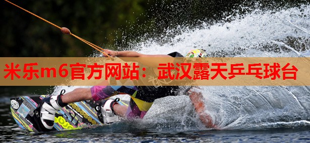米乐m6官方网站:武汉露天乒乓球台