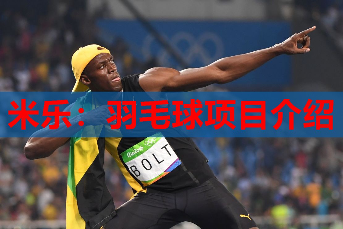 米乐:羽毛球项目介绍
