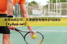 天津哪里有室外乒乓球台