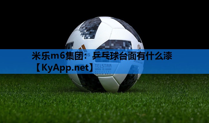 乒乓球台面有什么漆