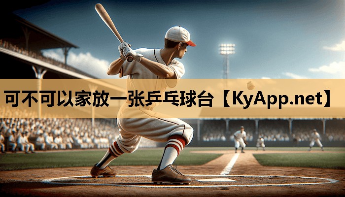 可不可以家放一张乒乓球台
