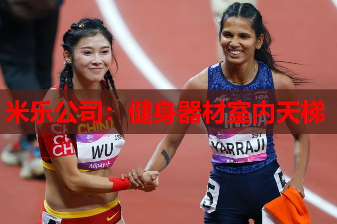 健身器材室内天梯