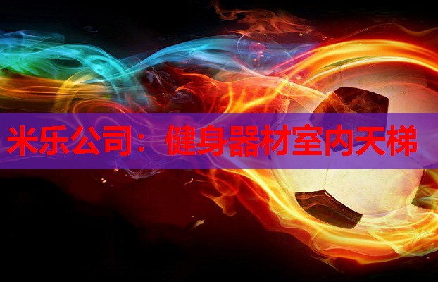 健身器材室内天梯