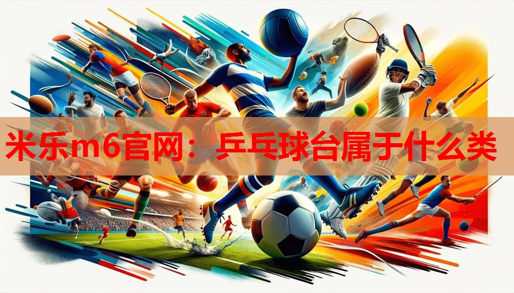 乒乓球台属于什么类