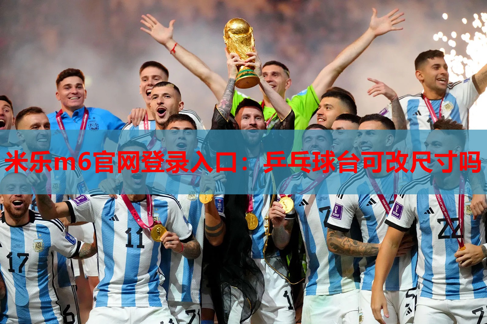 乒乓球台可改尺寸吗
