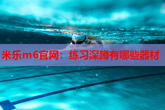 练习深蹲有哪些器材
