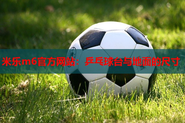 乒乓球台与地面的尺寸