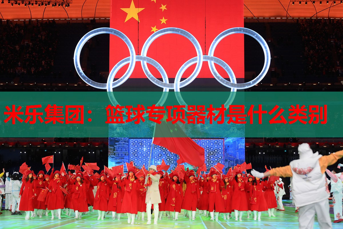 篮球专项器材是什么类别