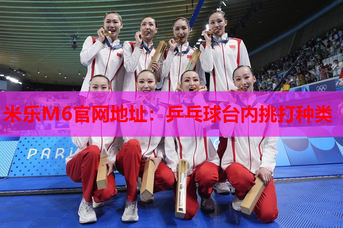 乒乓球台内挑打种类