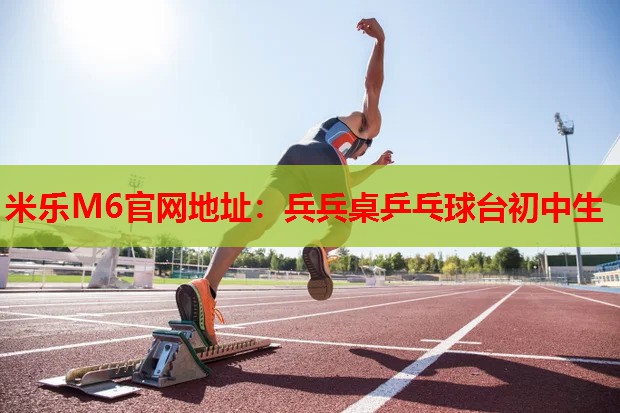 兵兵桌乒乓球台初中生
