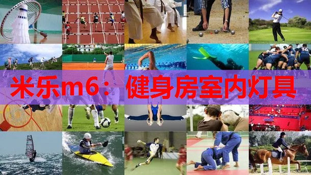 健身房室内灯具