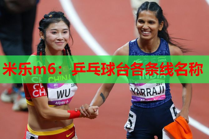 乒乓球台各条线名称