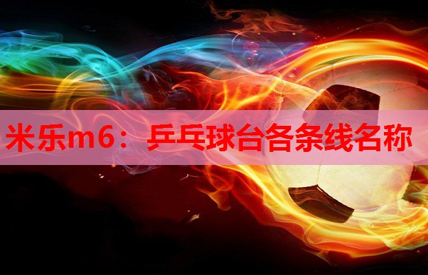 乒乓球台各条线名称