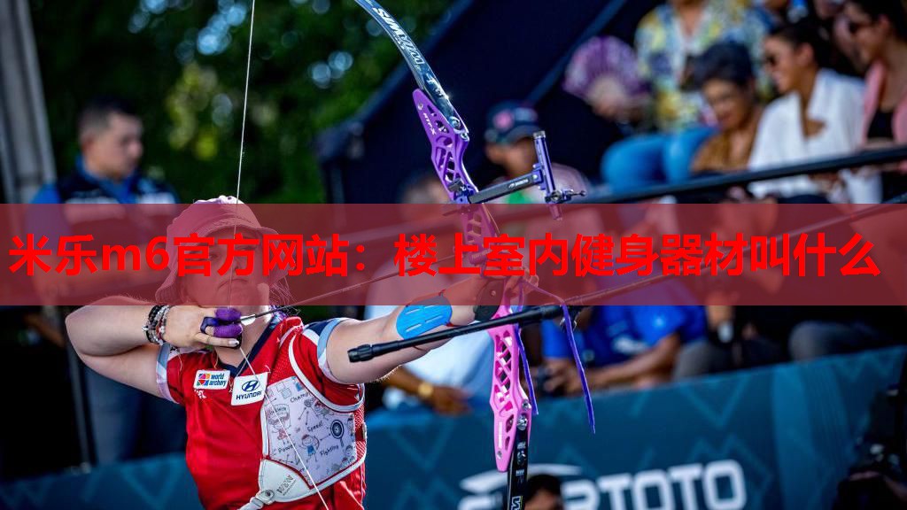 楼上室内健身器材叫什么