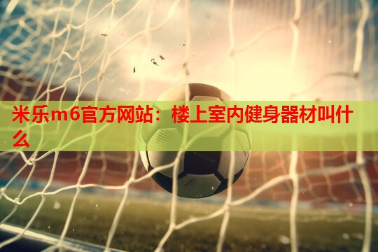 楼上室内健身器材叫什么