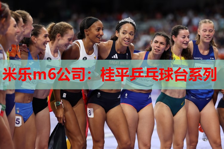 桂平乒乓球台系列