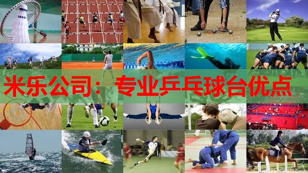 专业乒乓球台优点