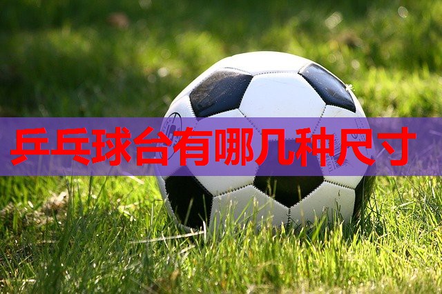 乒乓球台有哪几种尺寸