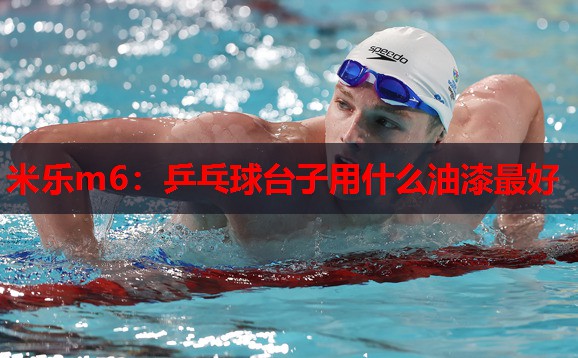 乒乓球台子用什么油漆最好