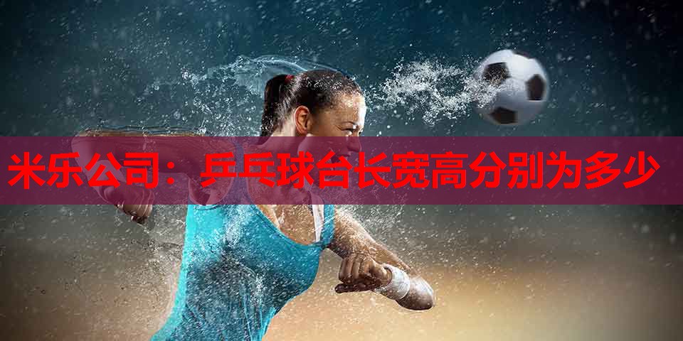 乒乓球台长宽高分别为多少
