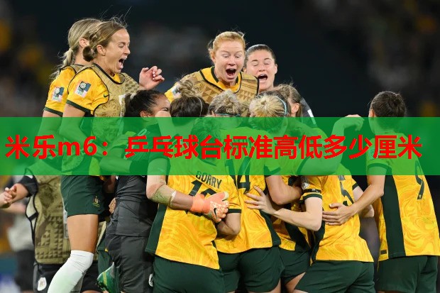 乒乓球台标准高低多少厘米