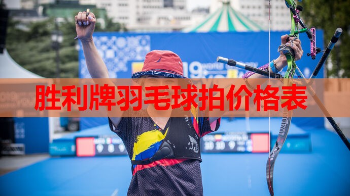 胜利牌羽毛球拍价格表