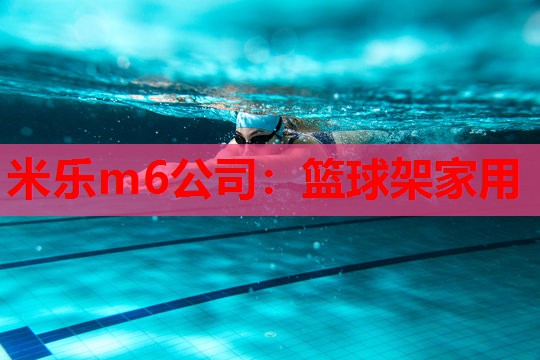 篮球架家用
