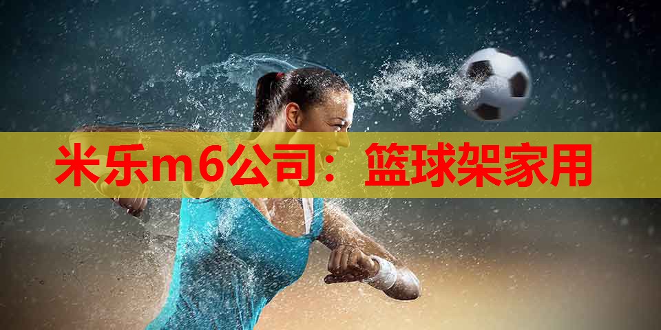 篮球架家用