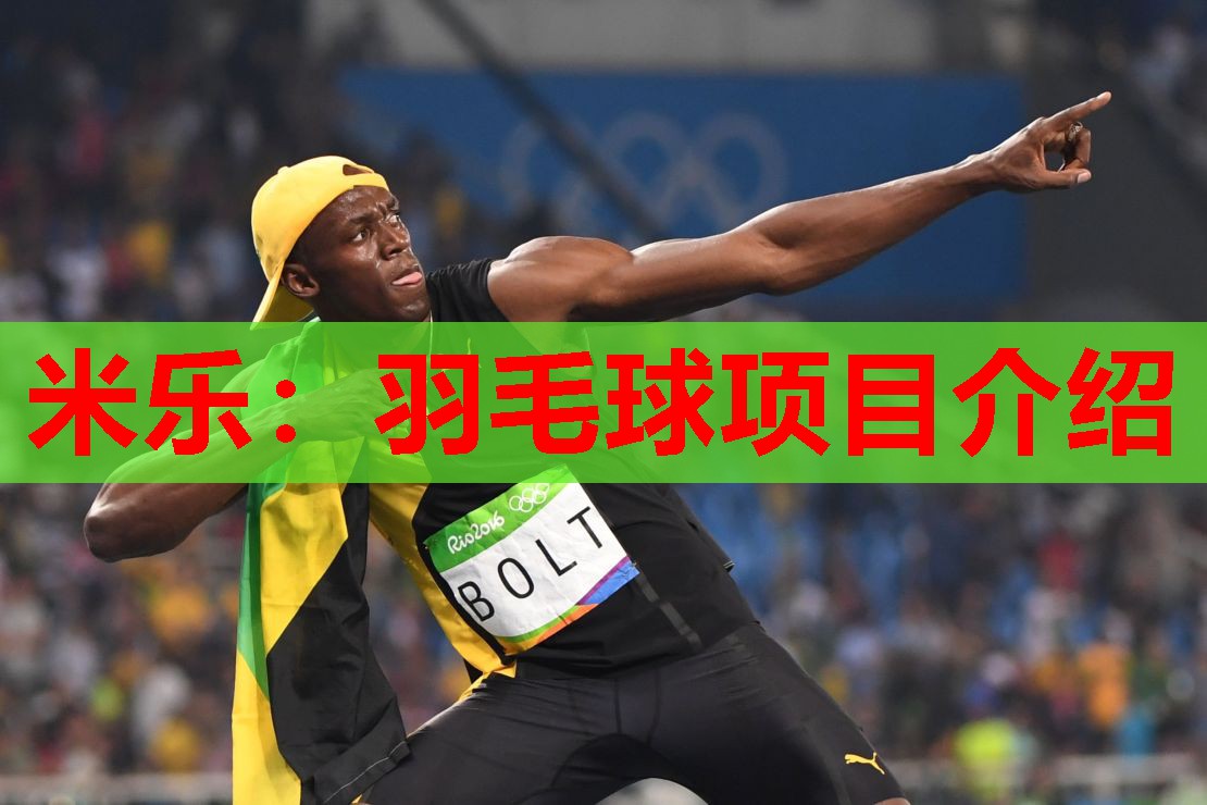 羽毛球项目介绍