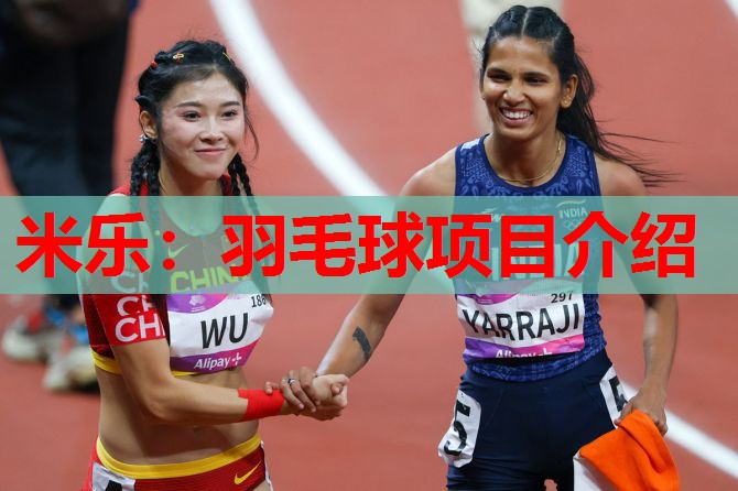 羽毛球项目介绍