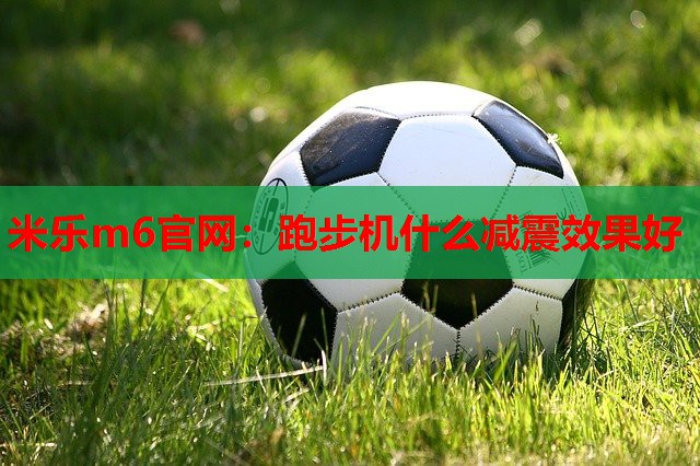 跑步机什么减震效果好