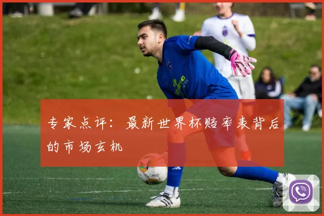 专家点评：最新世界杯赔率表背后的市场玄机