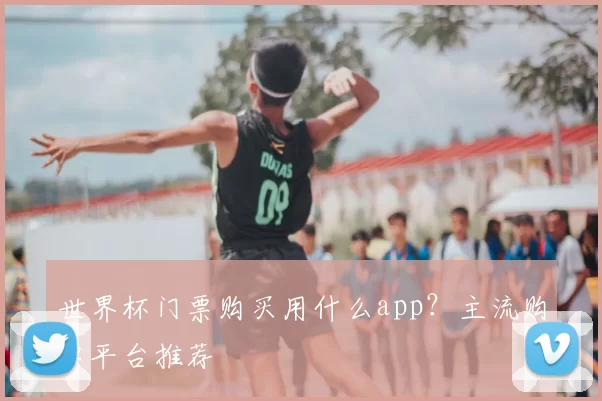 世界杯门票购买用什么app？主流购票平台推荐