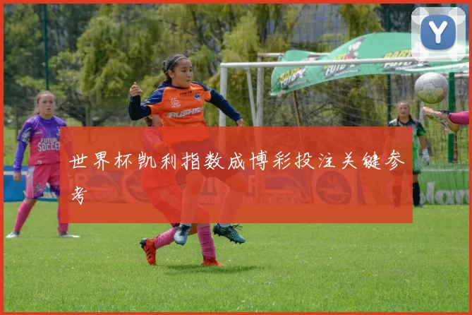 世界杯凯利指数成博彩投注关键参考