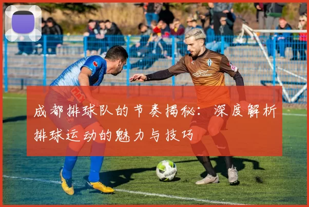 成都排球队的节奏揭秘：深度解析排球运动的魅力与技巧