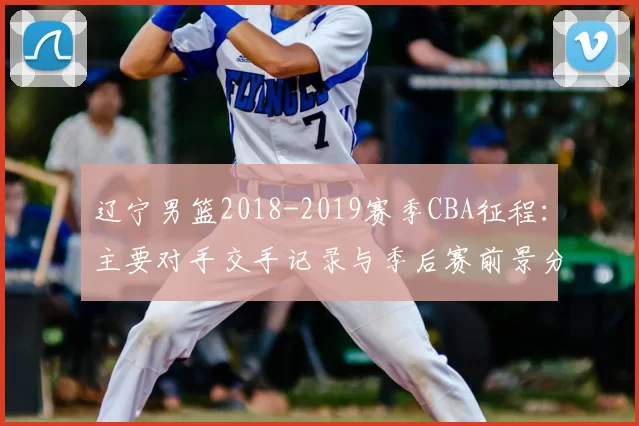 辽宁男篮2018-2019赛季CBA征程:主要对手交手记录与季后赛前景分析