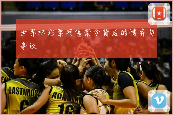 世界杯彩票网售禁令背后的博弈与争议