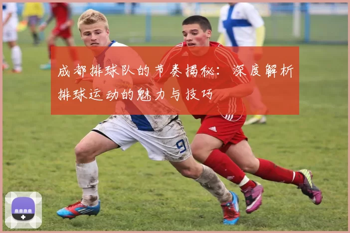 成都排球队的节奏揭秘：深度解析排球运动的魅力与技巧
